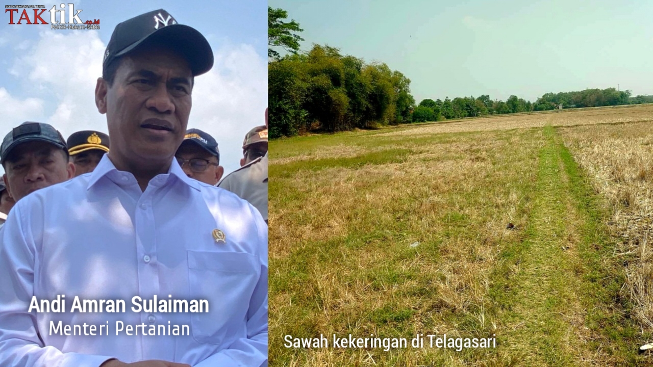 Dampak Kekeringan, Produksi Gabah Karawang Tertunda Hingga Sekitar 18 Ribu Ton? Apa Langkah Pemerintah?
