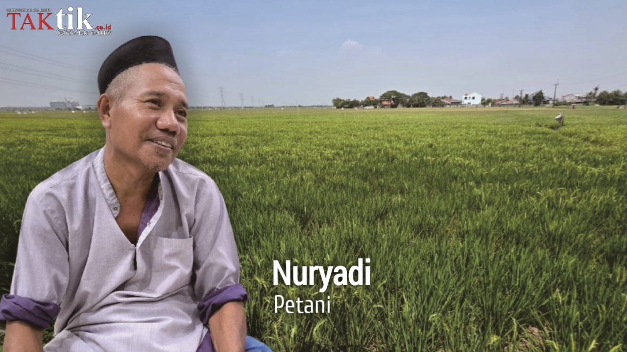Kata Petani, Hasil Panen Mulus Per Hektar Hanya Rp 10 Juta. Asumsi Mentan Sampai Rp 65 Juta? Ko Beda Jauh?